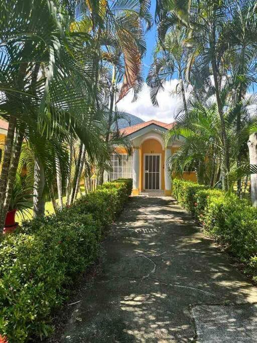 Villa De Ali In Palma Real 拉塞瓦 外观 照片